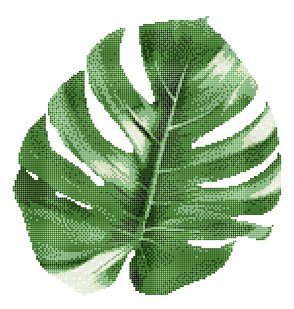 ASP-MONSTERA LEAF-5