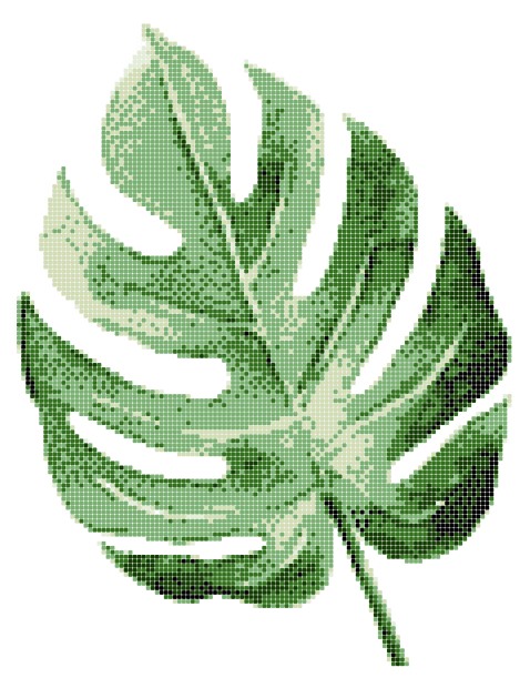 ASP-MONSTERA LEAF-4