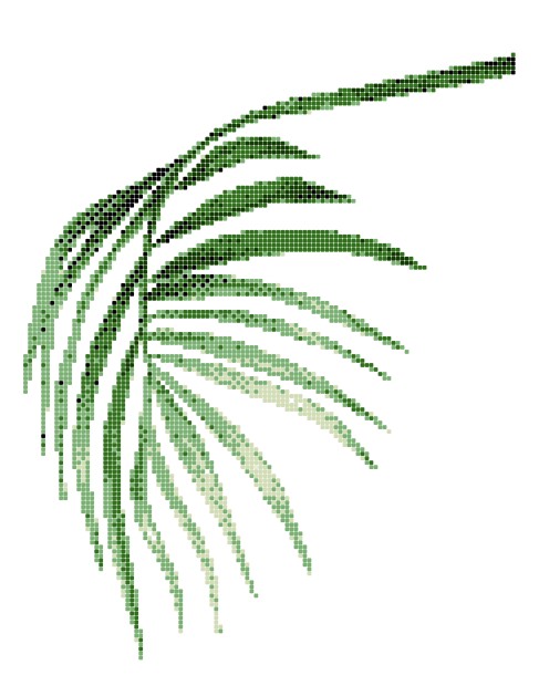 ASP-PALM LEAF-5