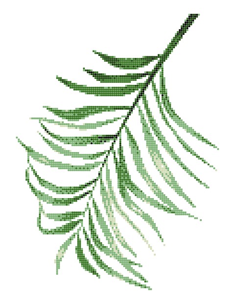 ASP-PALM LEAF-3