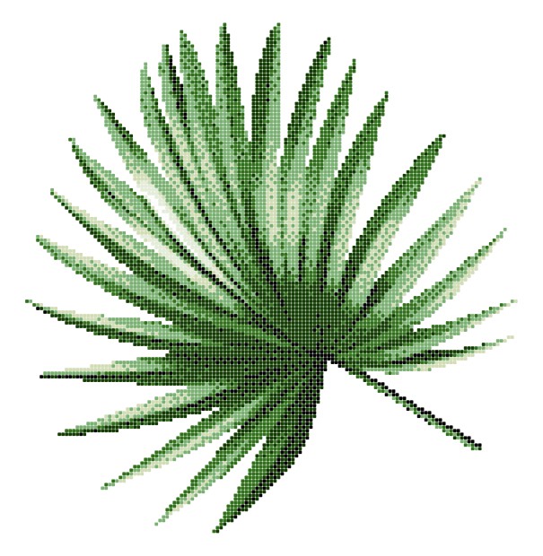 ASP-PALM LEAF-2