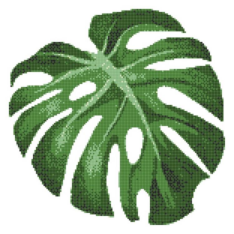 ASP-MONSTERA LEAF-1