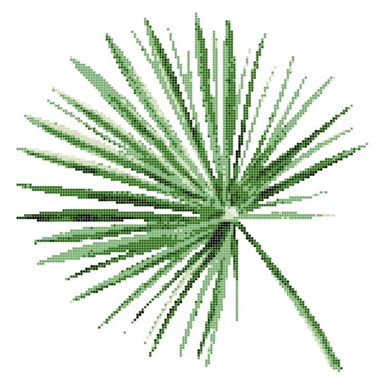 ASP-PALM LEAF-1