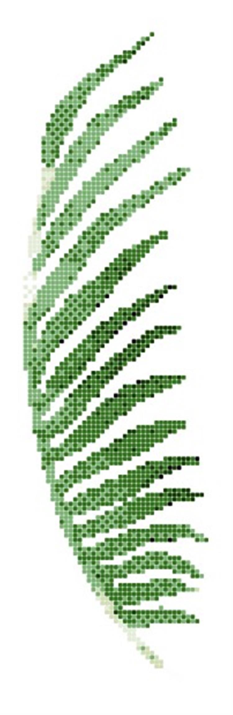 ASP-PALM LEAF-6