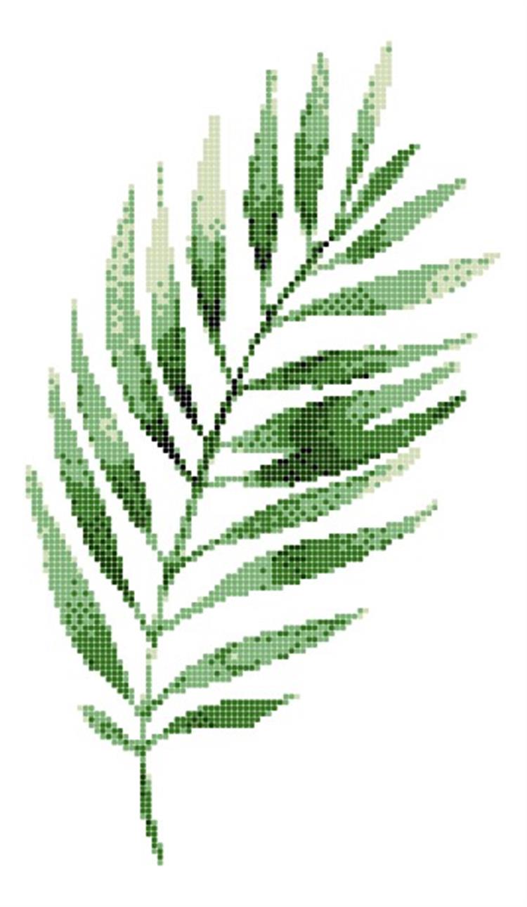 ASP-PALM LEAF-4